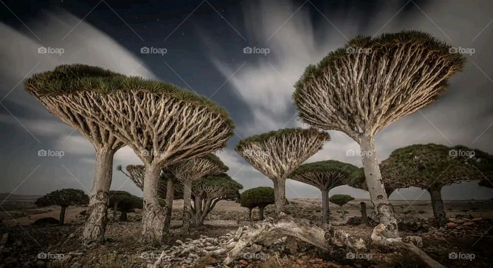 A stunning view of green mountains covered in fog in Yemen