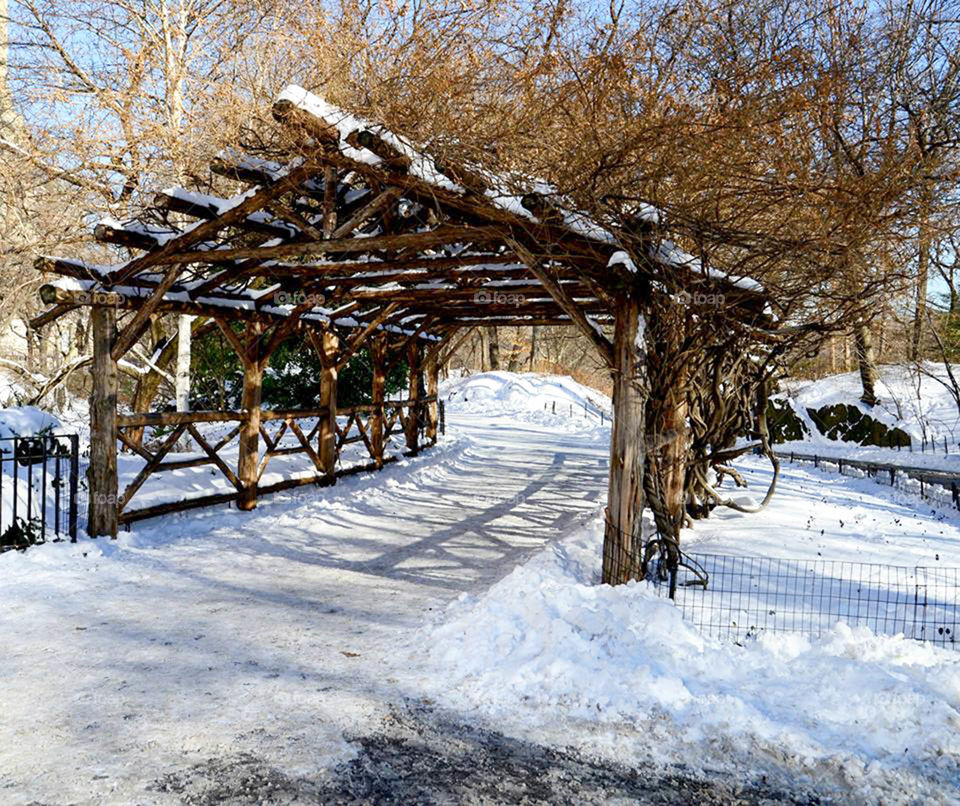 Central Park bridge. wooded bridge in central park,  NYC