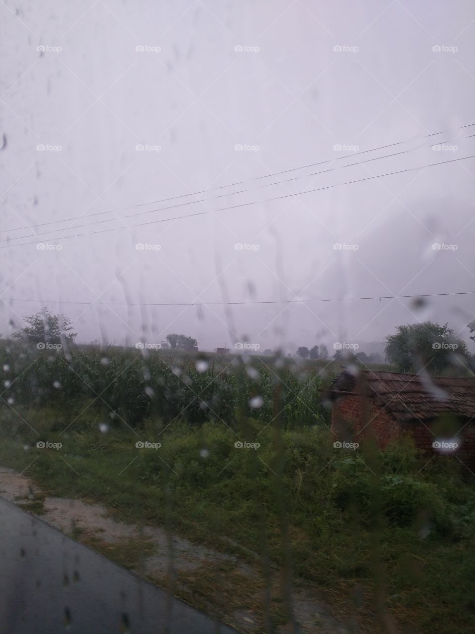 Rain drops on window