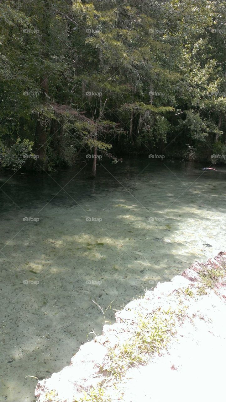 Crystal clear springs. Defuniak Springs Florida