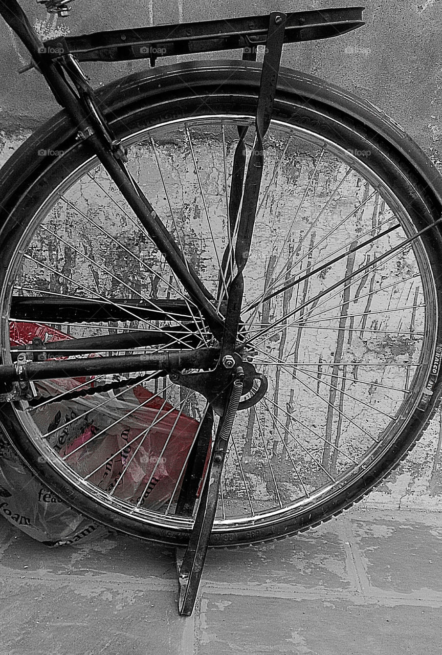 Bicycle Wheel