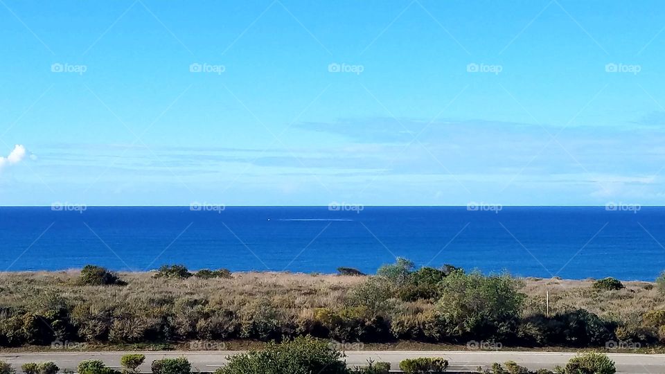 the Pacific was very very blue today