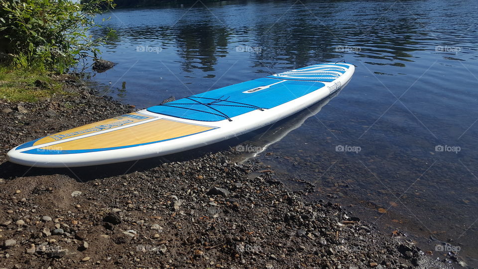 Paddle Board