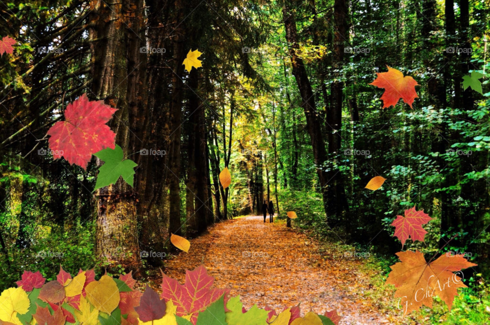 nature wood tree trees by gaguling