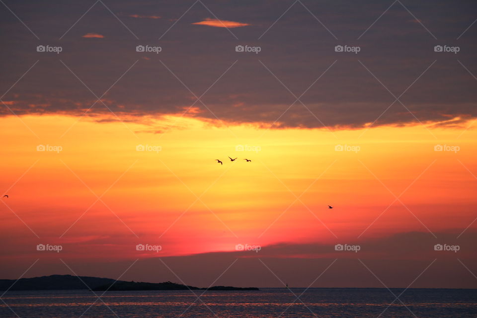 Dawn by the beach