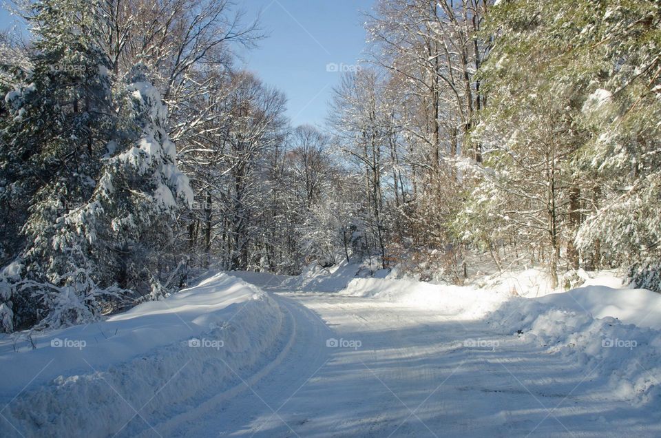 Vacation Series, Winter Road Trip, Bulgaria