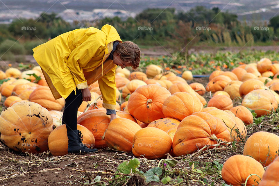 Pumpkins