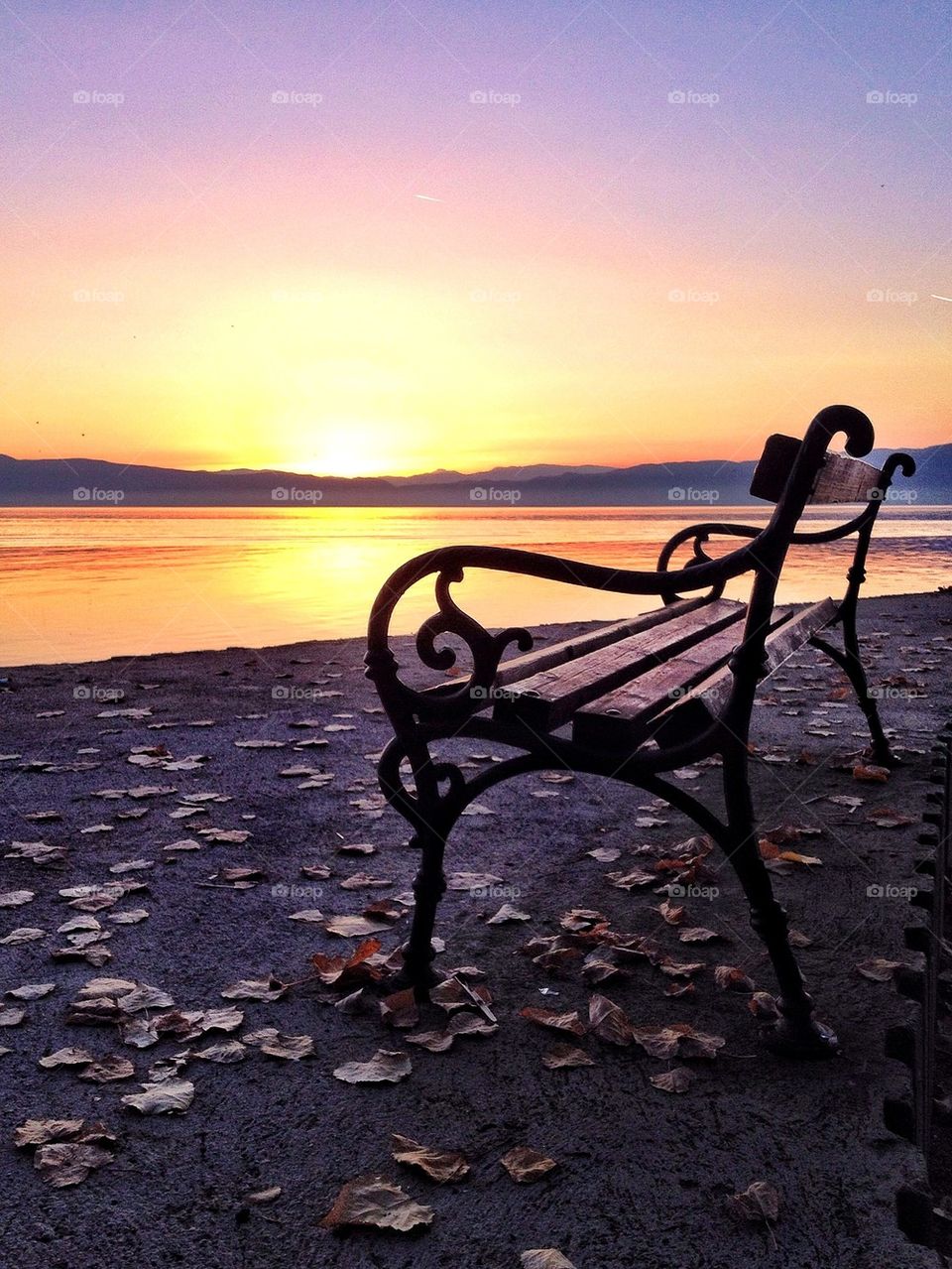 Empty bench near sea