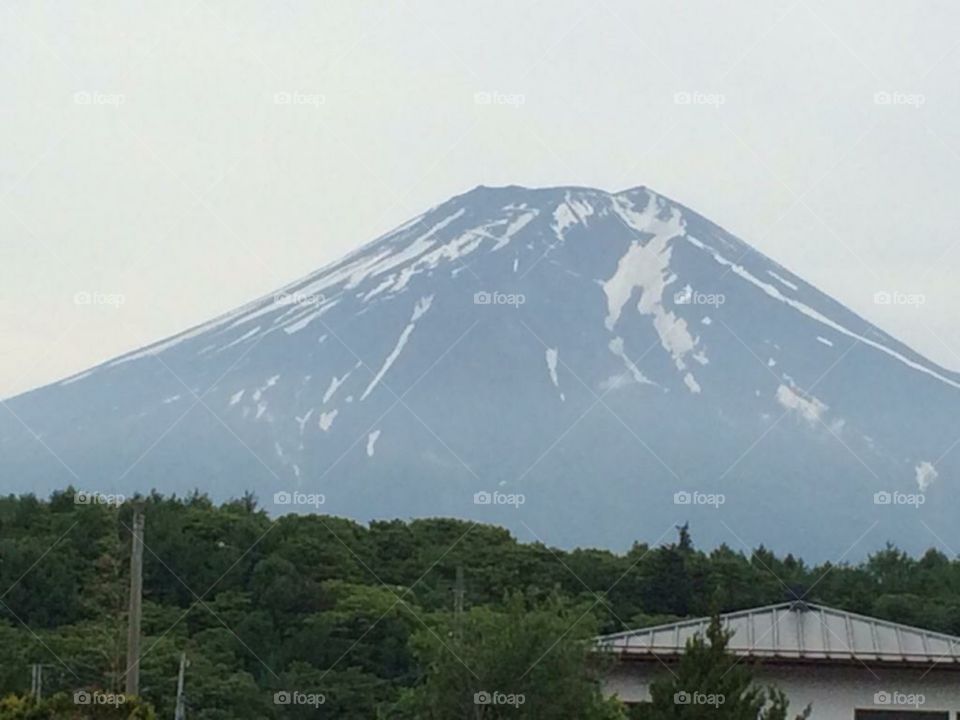 wonderful view of mountain with forest