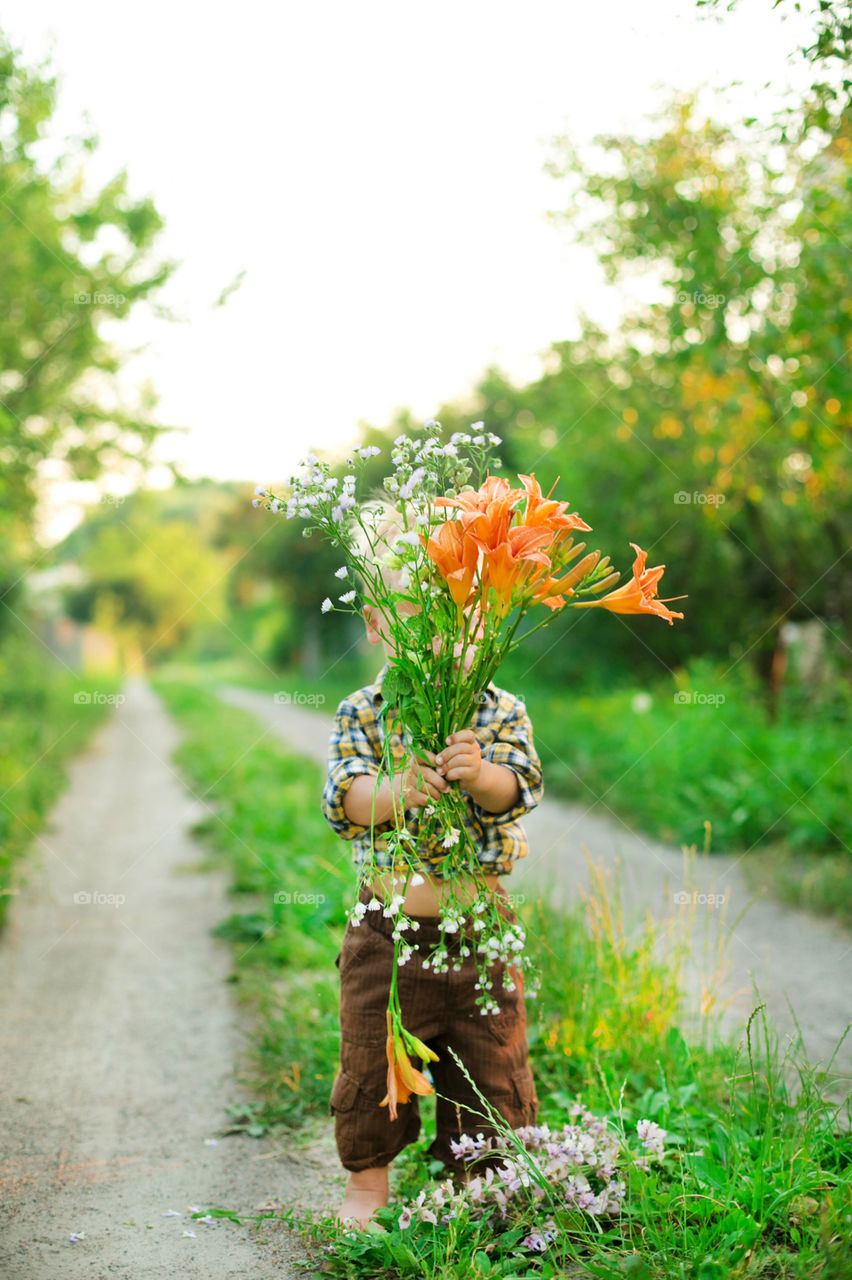 Nature, Summer, Flower, Outdoors, Garden