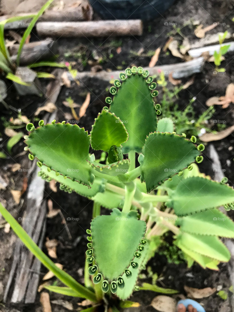 what a different interesting sheet