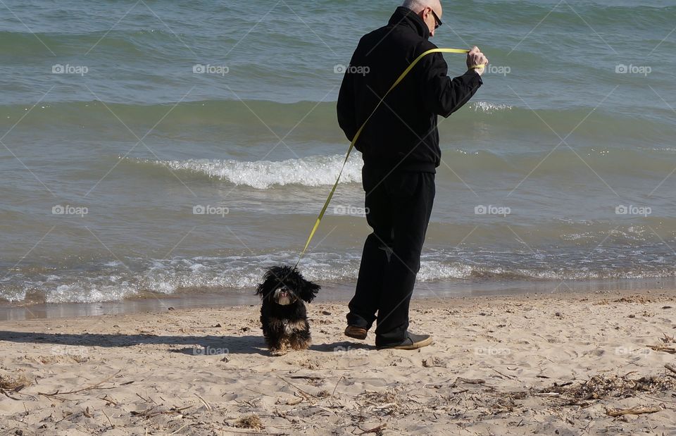 Zanna Commandeering . Teddybear Looking at Me