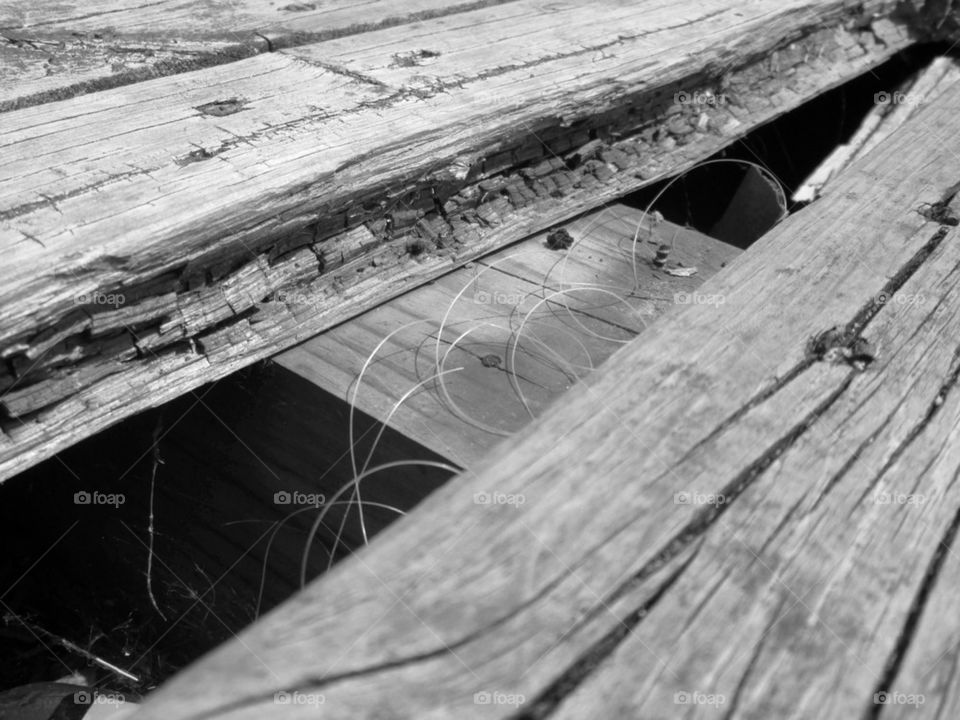 Finding random things to take pictures of