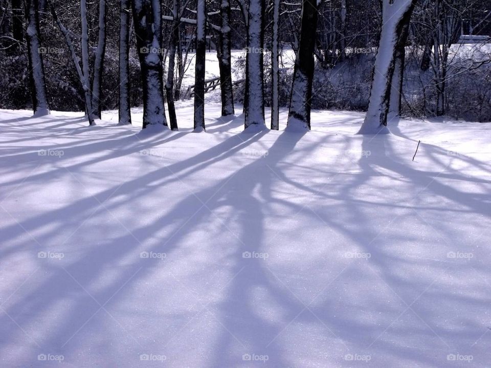 Winter shadows