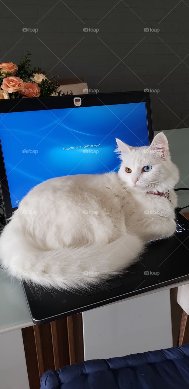 Does home office work?