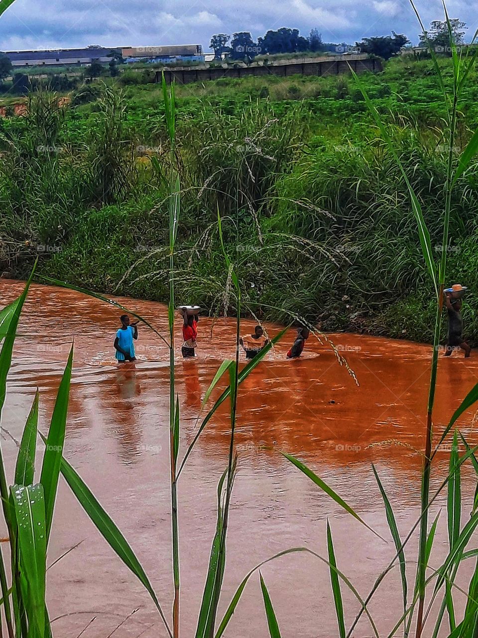 liquid. water. Riverside. People. grass. green plant.