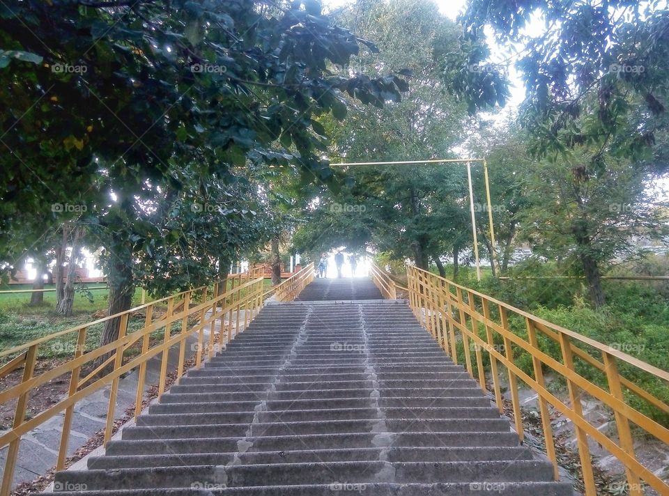 stairs лестница