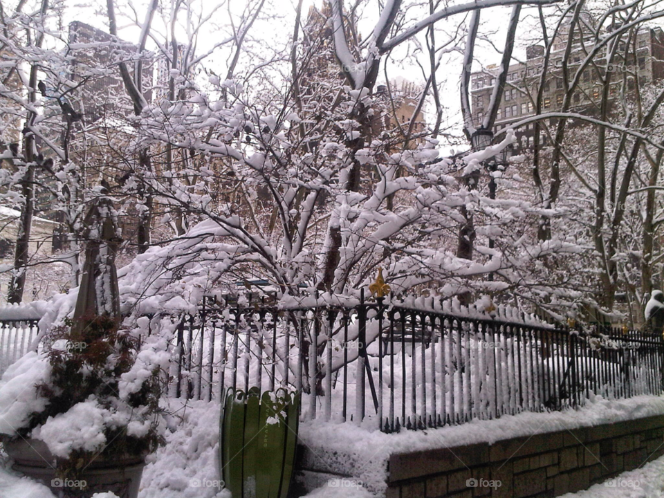 nyc snow fence tree by delvec