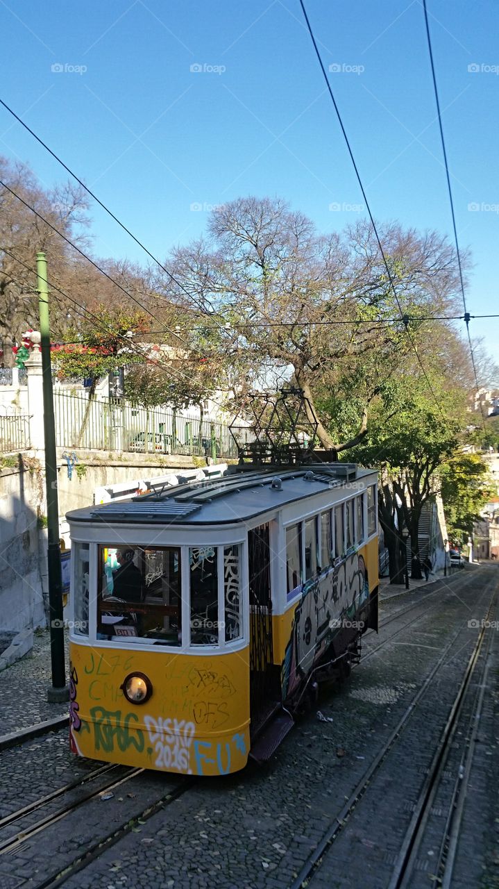 Tram