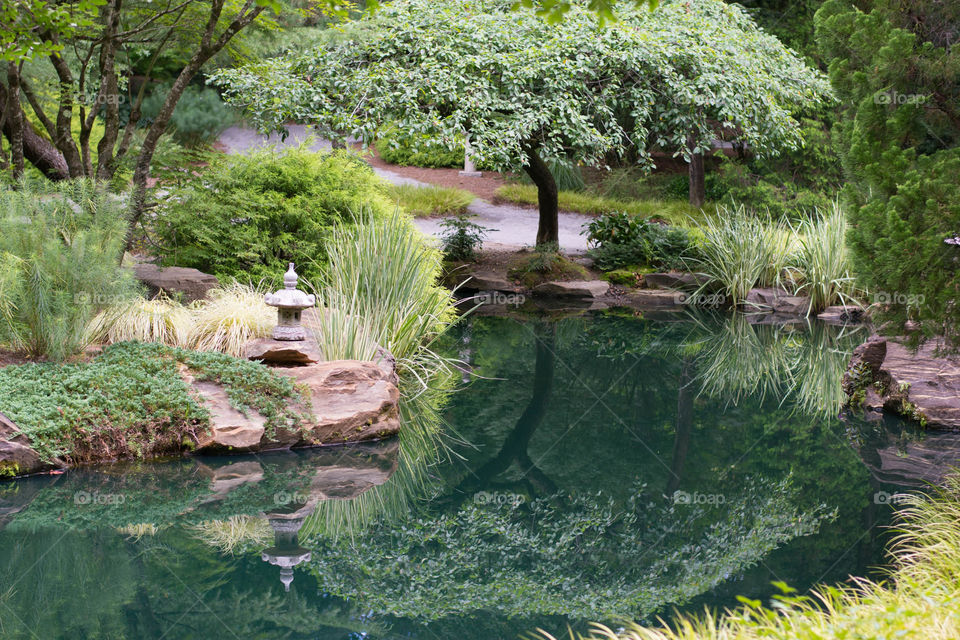 botanical gardens landscape