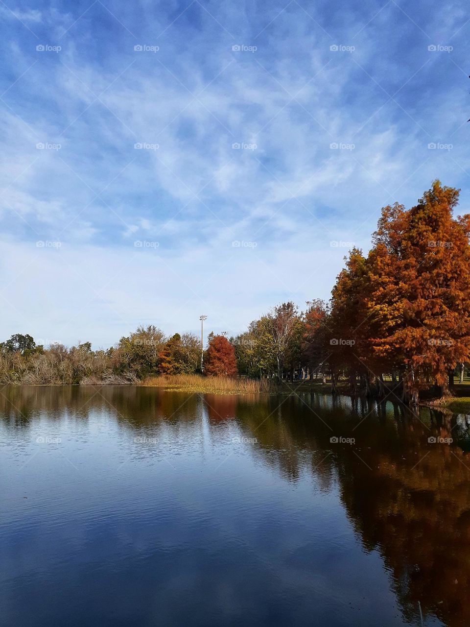 I love to go to Secret Lake Park and walk around, be in nature and take photos. The trees surrounding the lake are all the colors of fall.