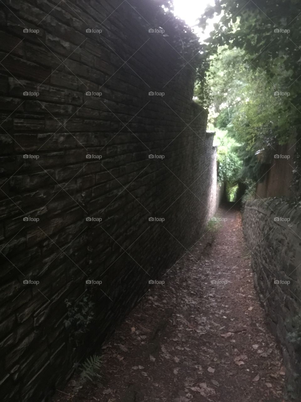 Old pathway with high stone wall, England