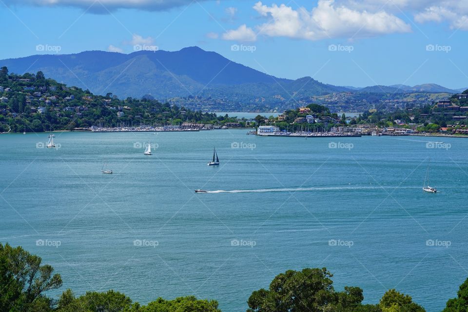Boats On San Francisco Bay With Sausalito And Mount Tamalpais in Background