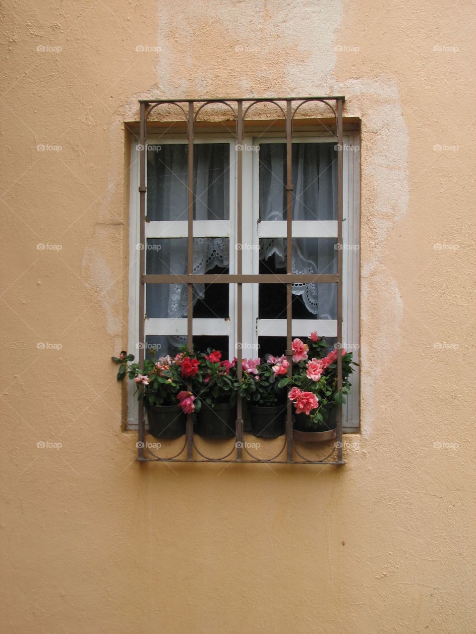 Pleasant Window