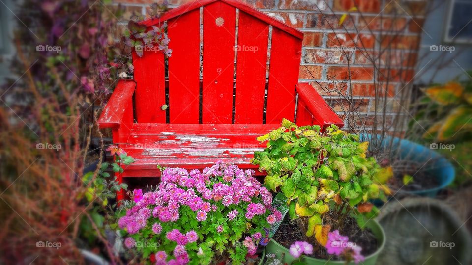 Empty wooden red painted chair