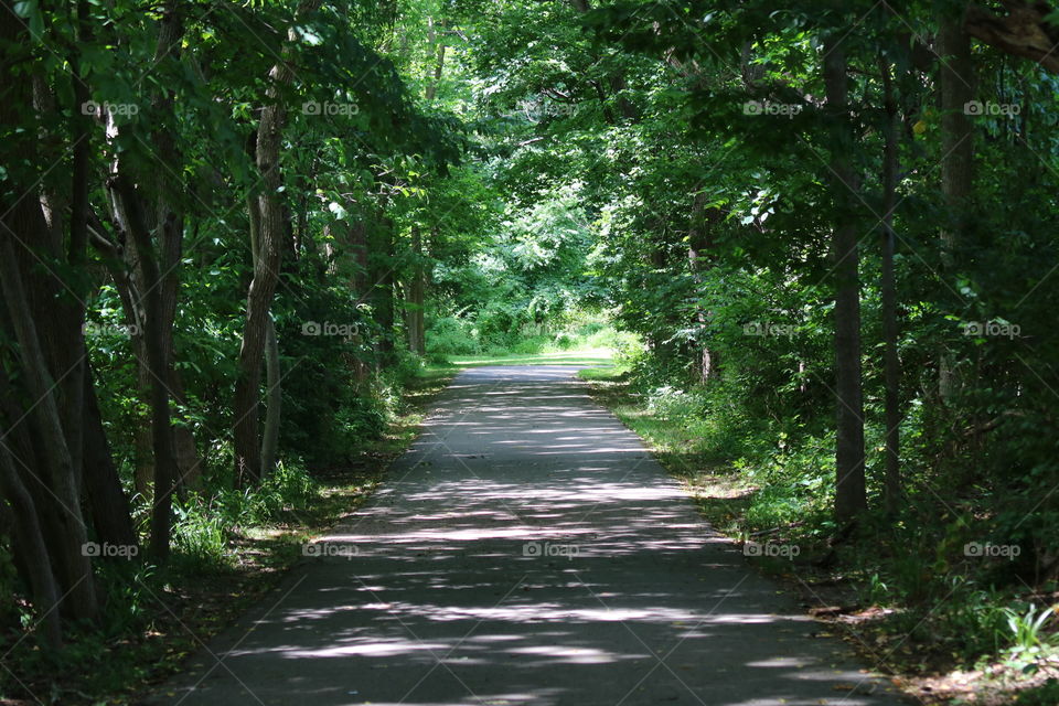 Walking,  recreation trail