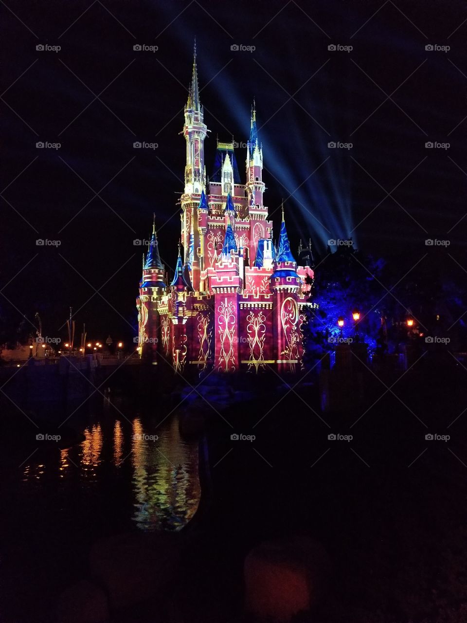 Disney world