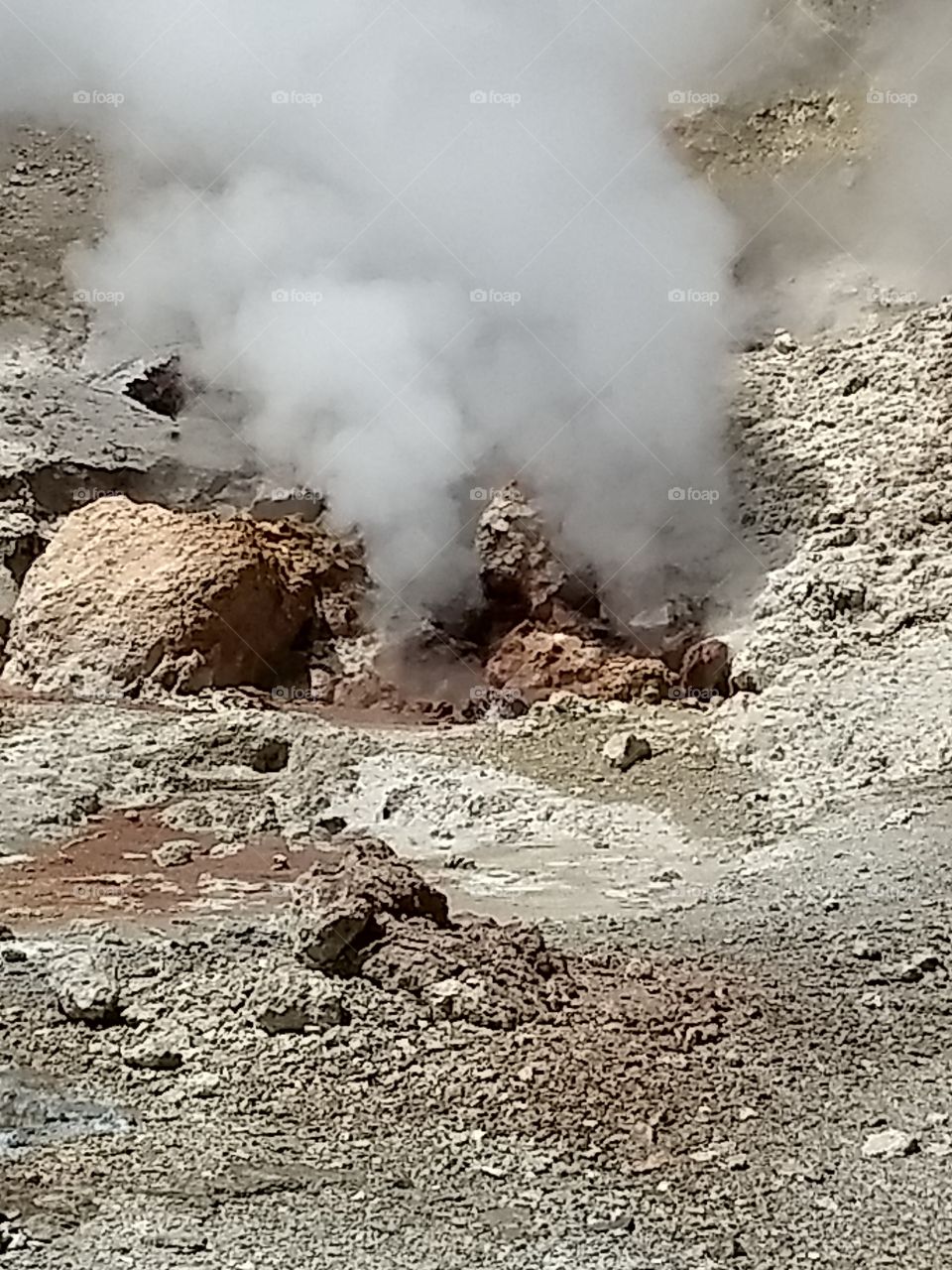 sulphur springs at Yellowstone