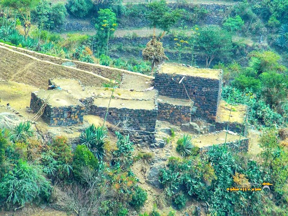A stunning view of green mountains covered in fog in Yemen