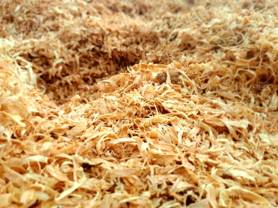 sawdust