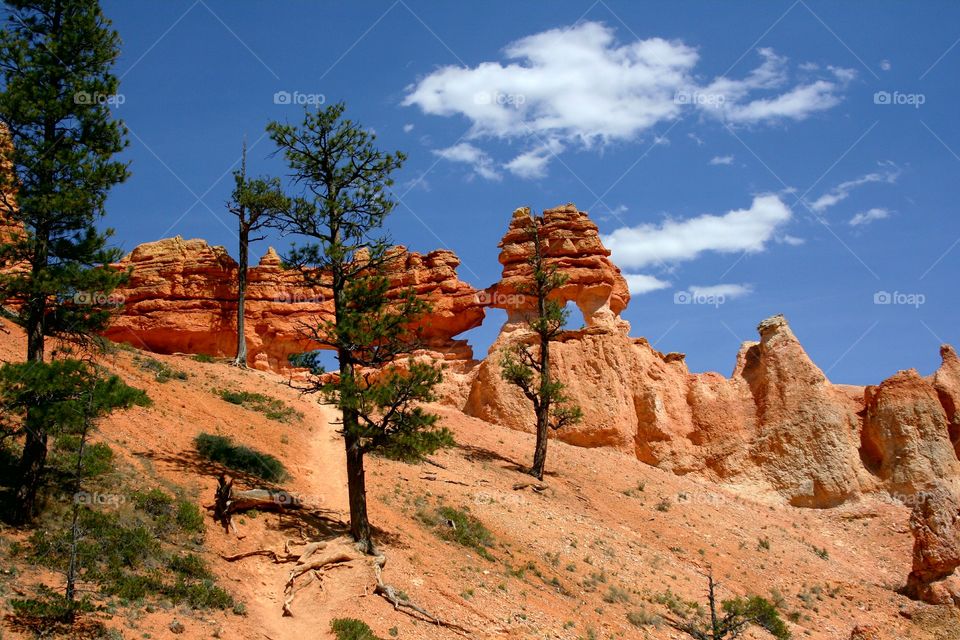 Bryce National Park - Utah