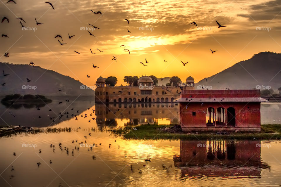 jal mahal at jaipur,india ( man sagar lake )