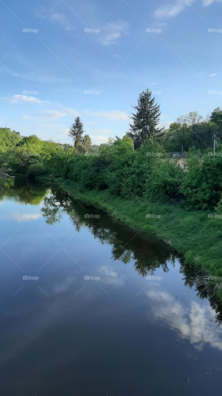 river reflection of trees  river mirror