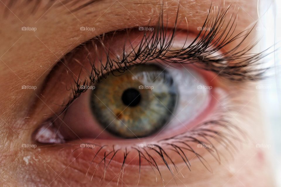 Close-up of human eye