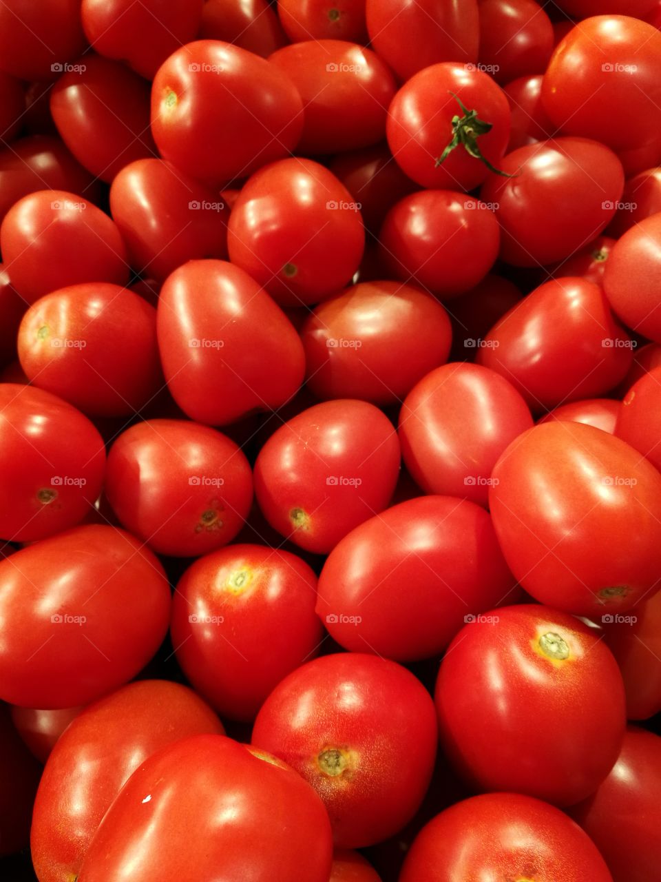 Closeup of red tomatoes