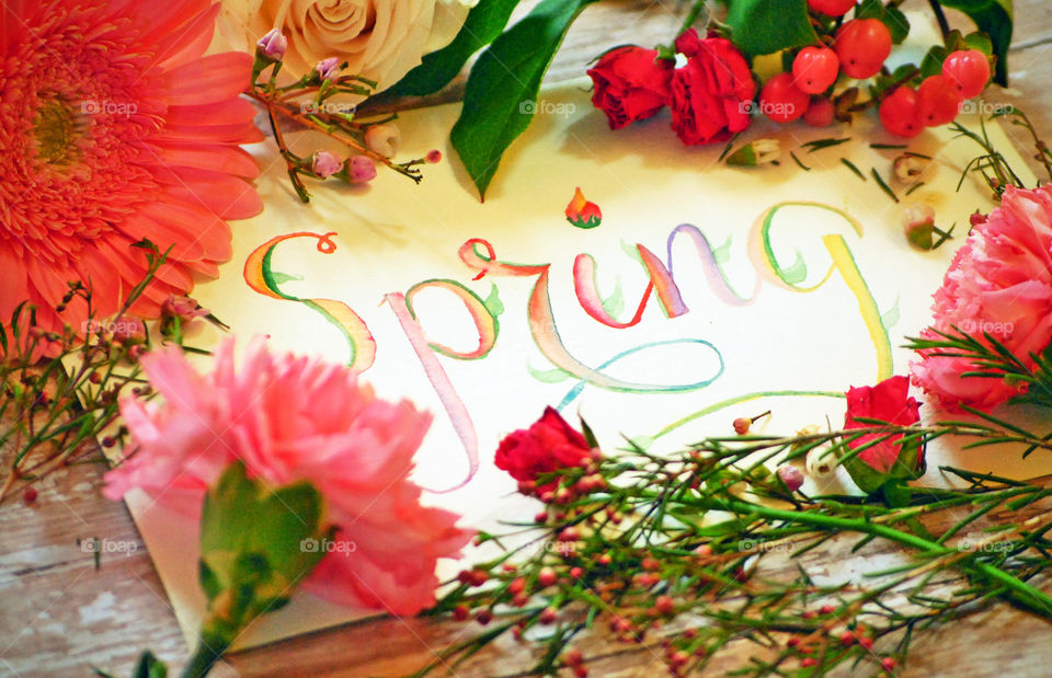 Spring, tilted, sign, flat lay, on white background, on wooden background, floral border, bloom, flowers, watercolor, lettering, bud, creative, typography, angled shot