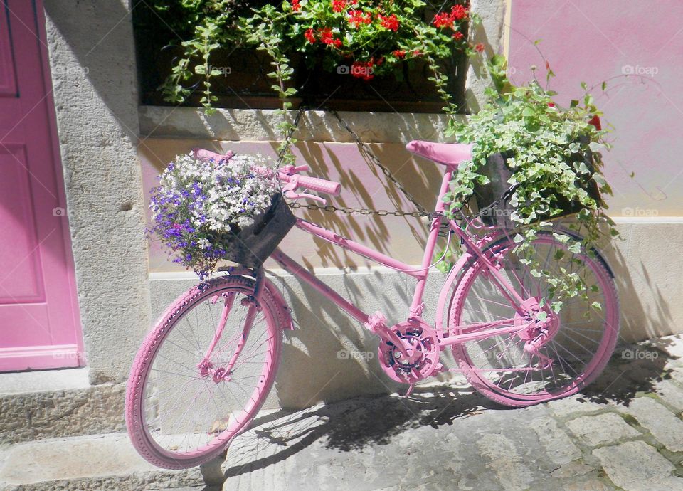 Pink bike and flowers