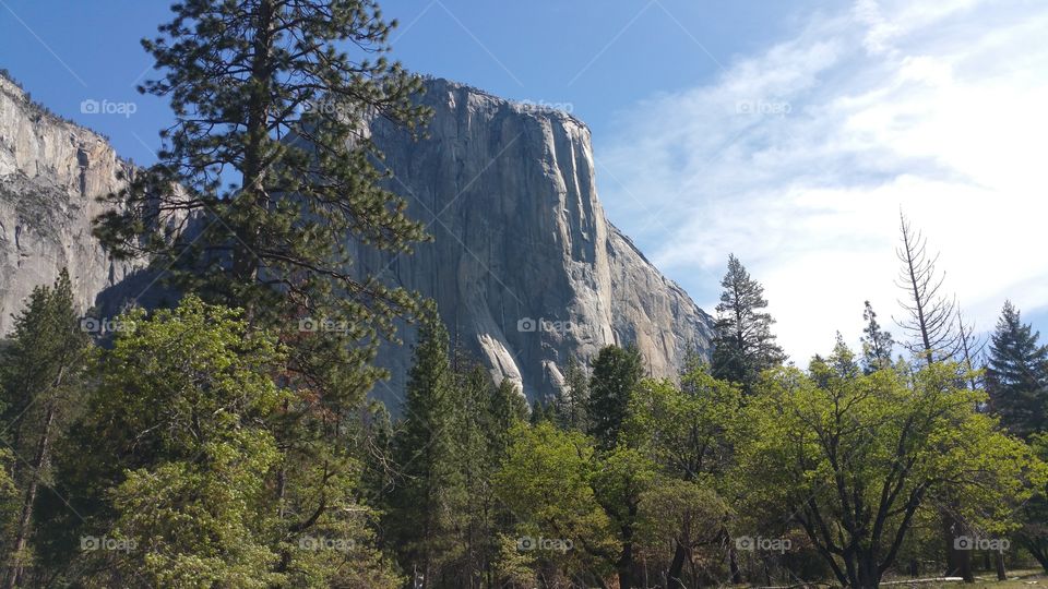 El Capitan of the Valley