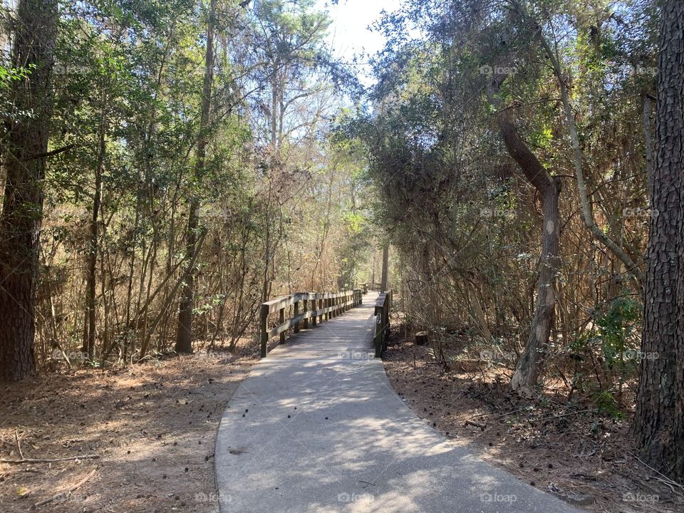 hiking trail