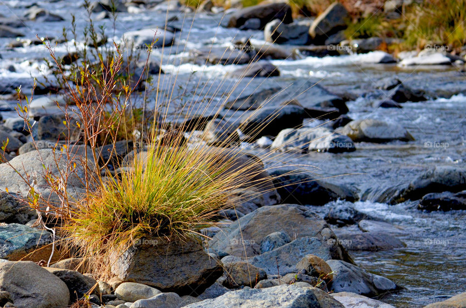 Autumn, River and Benahavis, Spain 