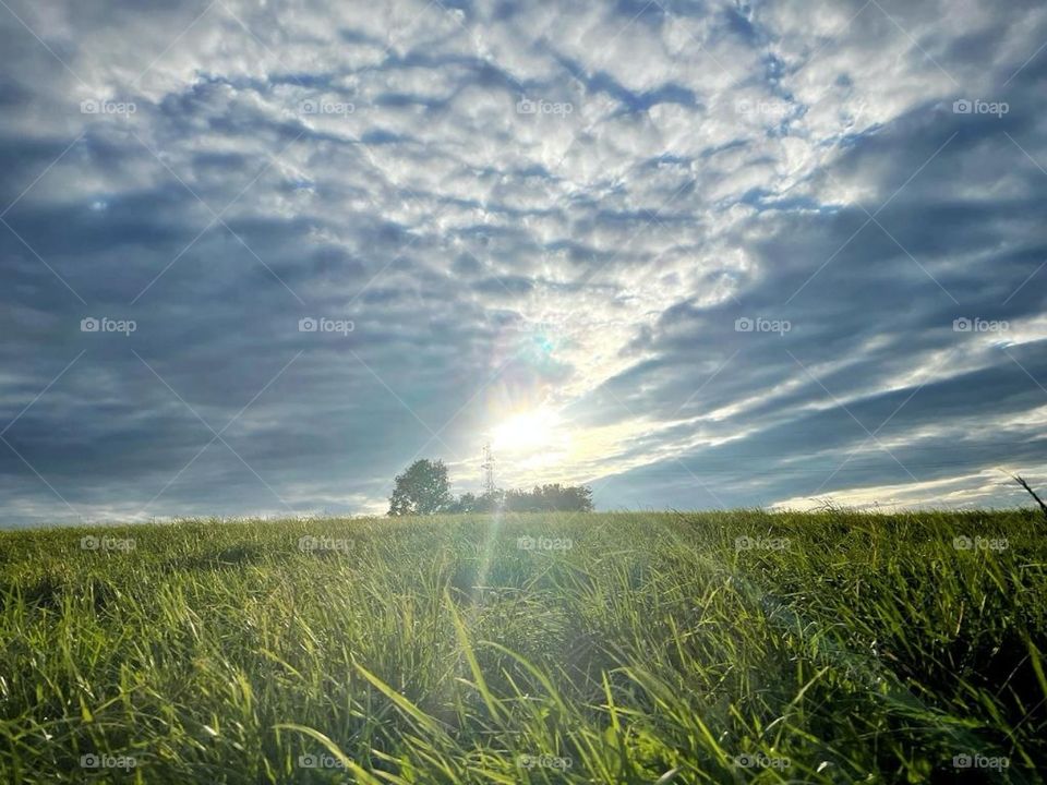 Golden hour in Jura, France.