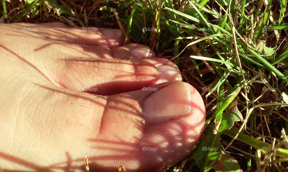 toes in grass