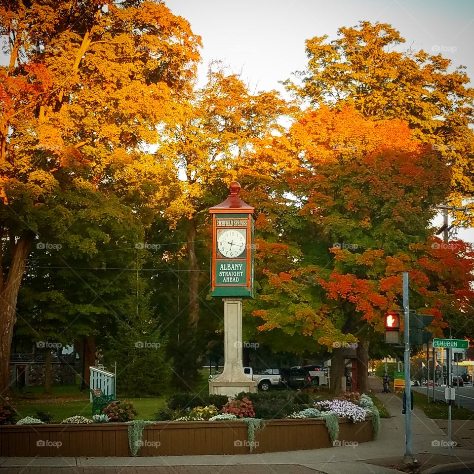 park clock