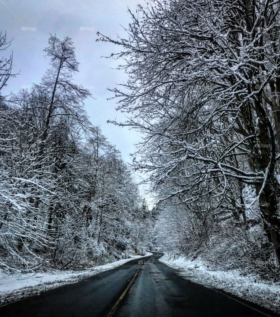 Frosted trees and slippery roads 