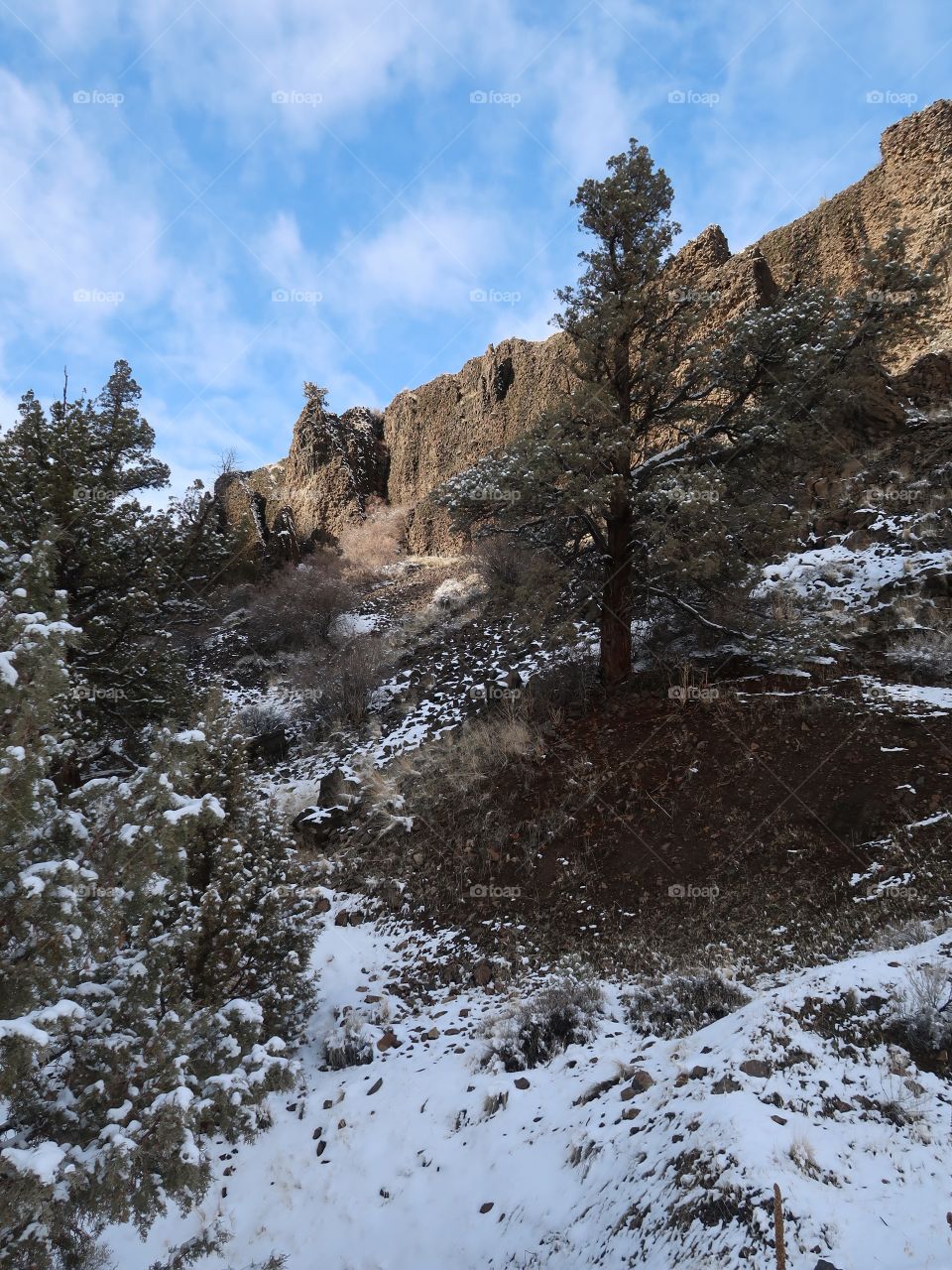 Cliffs of basalt stick out with just a bit of snow on the ground on a beautiful sunny winter day in Central Oregon. 