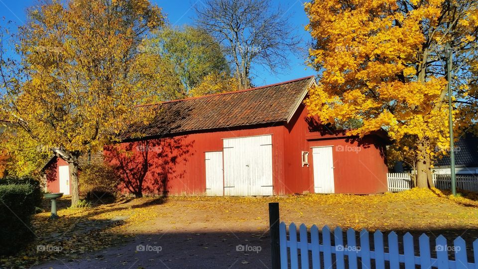 From my little hometown Svelvik, Norway